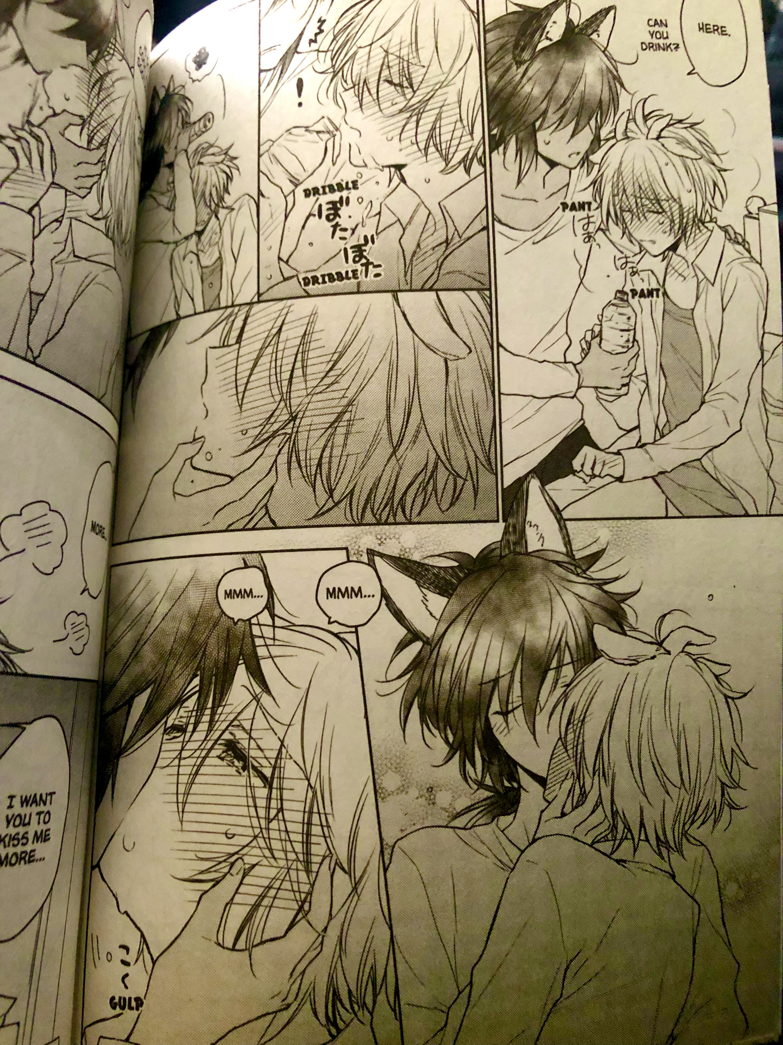 furry yaoi